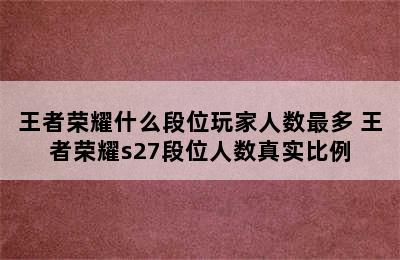 王者荣耀什么段位玩家人数最多 王者荣耀s27段位人数真实比例